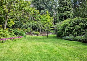 Optimiser l'expérience du jardin à Saint-Palais-de-Phiolin